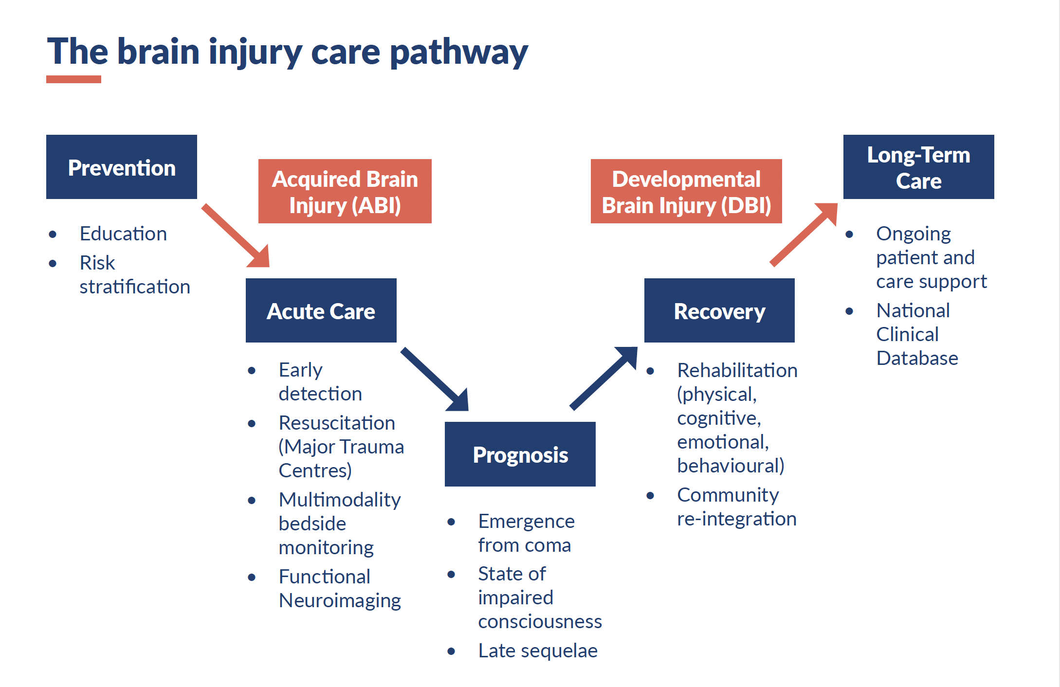 The brain injury patient pathway